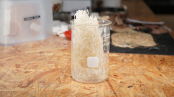 carrageenan00